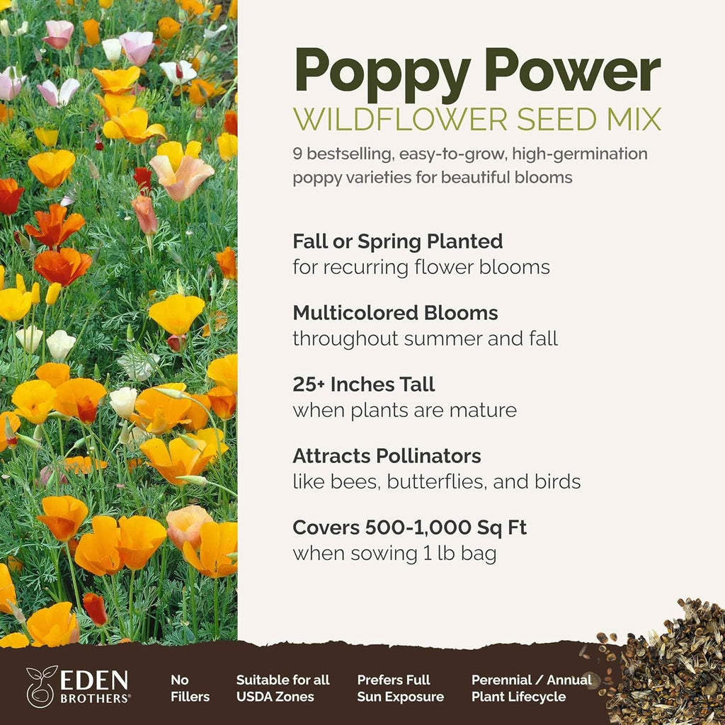 Eden Brothers Poppy Power Flower Mixed Seeds for Planting, 1 lb, 480,000+ Seeds with Red Corn, Iceland, California Poppy | Attracts Pollinators, Plant in Spring or Fall, Zones 3, 4, 5, 6, 7, 8, 9, 10