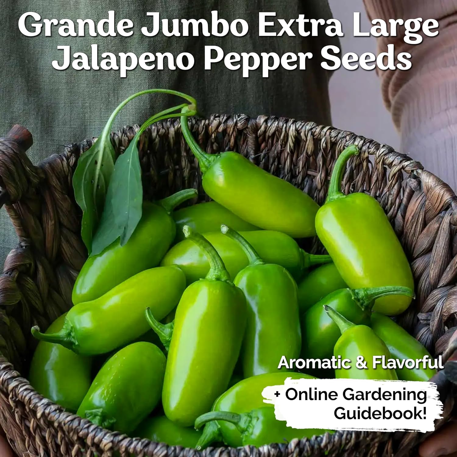 KVITER 100 Grande Jumbo Jalapeno Seeds for Planting (Capsicum Annuum) – Ultimate Stuffer Heirloom Pepper, Extra Large Hot Jalapeno Pepper Seeds – Vegetable Seeds for Outdoor & Indoor Garden