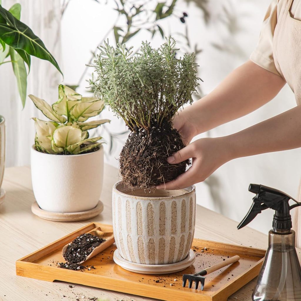 Ceramic Flower Pots Indoor-Outdoor: 5.75 Inch Planters with Drainage Holes & Saucer - Modern Decorative Plant Pots Ceramic for Home Gardeners (Striped)