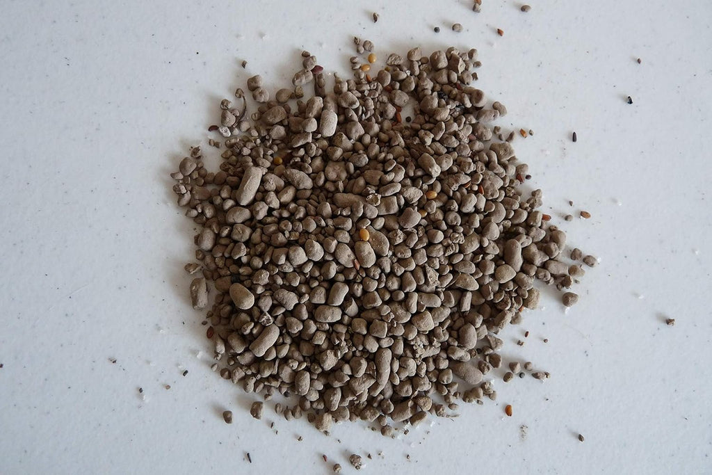 Earth Science Zinnia Wildflower Mix—6lb – 3-in-1 Seeds Plant Food & Soil Conditioner – Non-GMO Vibrant Blooming Flowers for Gardens Low Maintenance Attracts Pollinators – Covers 600 Sq Ft Eco-Friendly