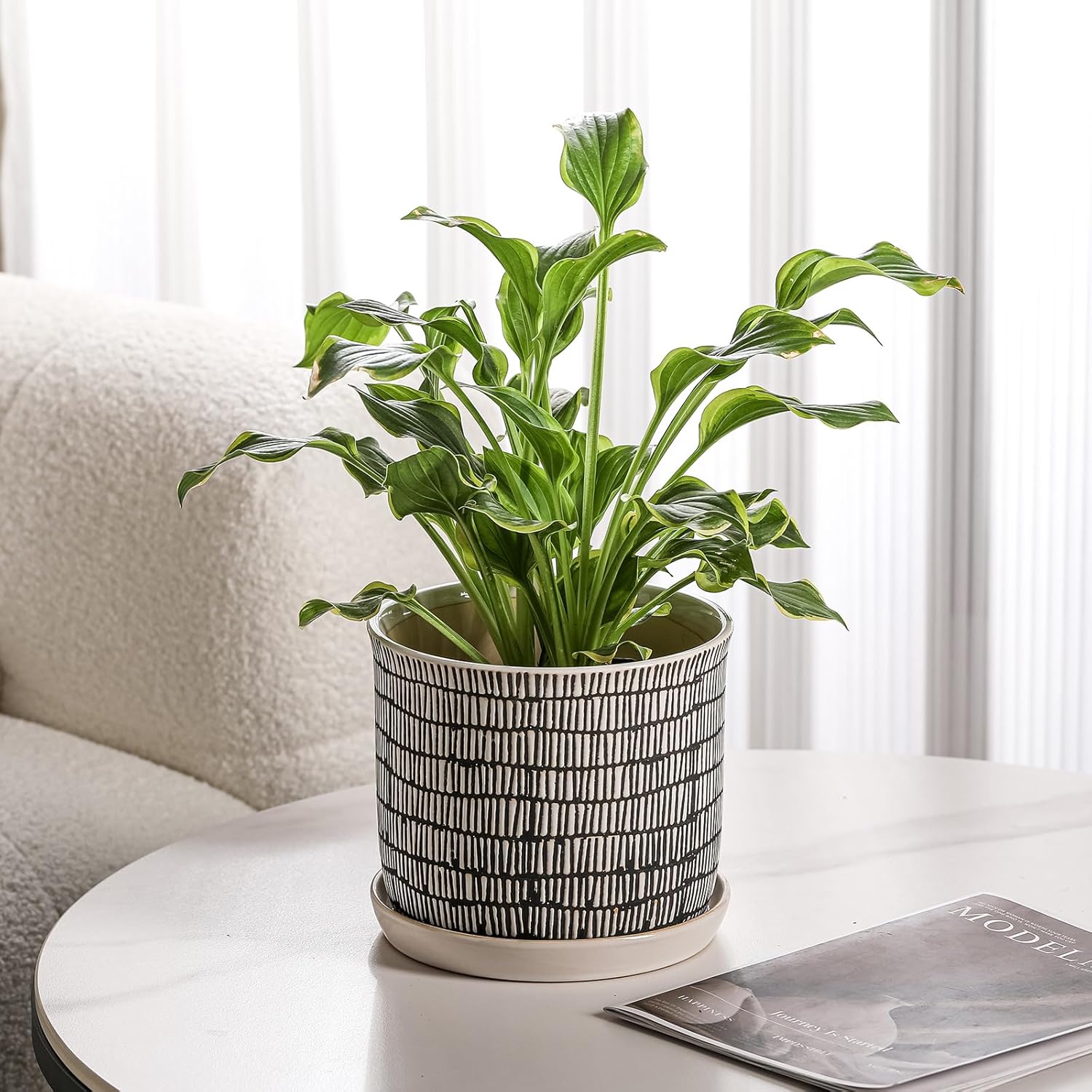 8 Inch Plant Pot: Ceramic Planter with Drainage Hole & Saucer for Indoor Outdoor Plants - Flowerpot with Bonded Tray for Home Office - Mixed Stripe Debossed