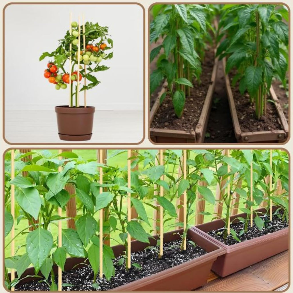 100 PCS 2FT (24 Inch) Bamboo Plant Stakes – Natural Bamboo Sticks for Indoor & Outdoor Plants – Garden Stakes & Plant Support Stakes for Tomato, Beans, Climbing Plants & More – VESYMAN