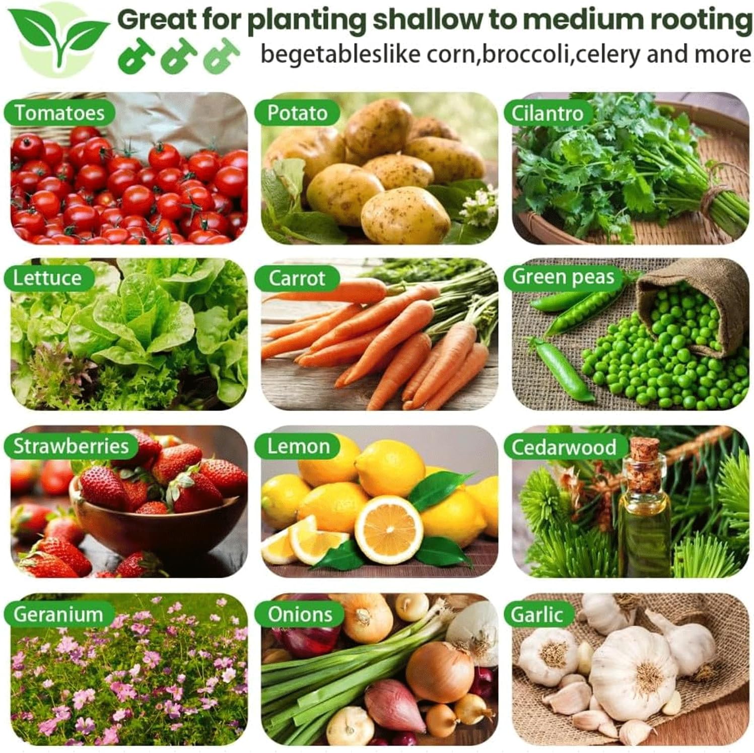 2 Pack 4x2FT Tall Galvanized Raised Garden Bed Outdoor,Metal Garden Bed for Vegetables,Steel Raised Beds for Gardening,Above Ground Garden Box for Flower