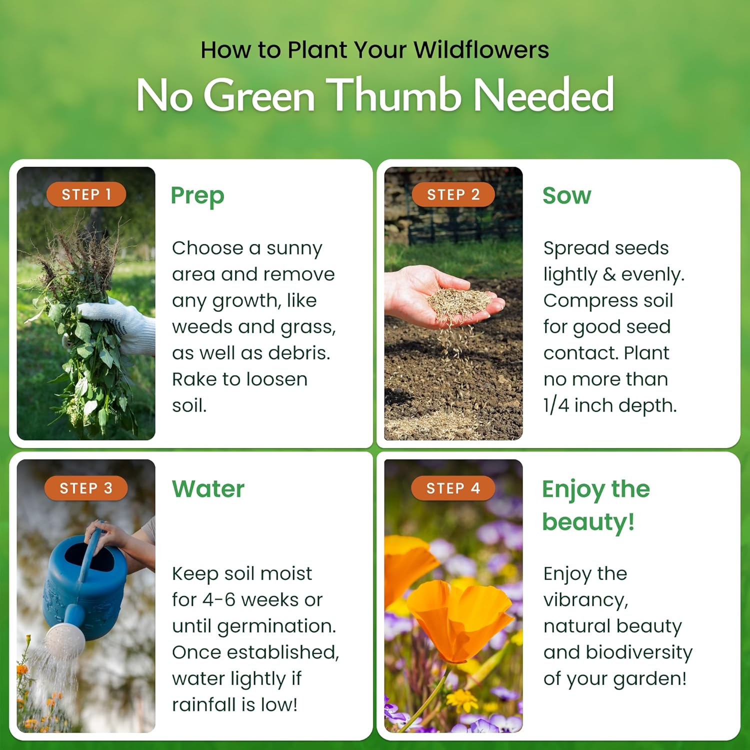 Created By Nature California Wildflower Seed Mix with Poppies, 22 Flower Varieties, 54,000+ Seeds