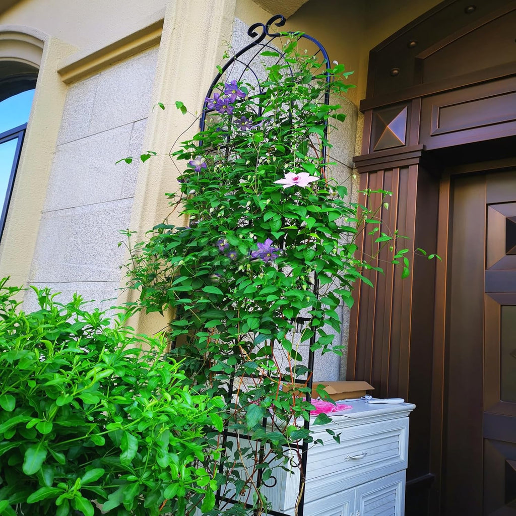 6 Pack Metal Garden Trellis 86.7" H Garden Fence Rustproof Trellis for Climbing Plants Support Roses Flower Outdoor Lawn, Black 7.2FT Tall