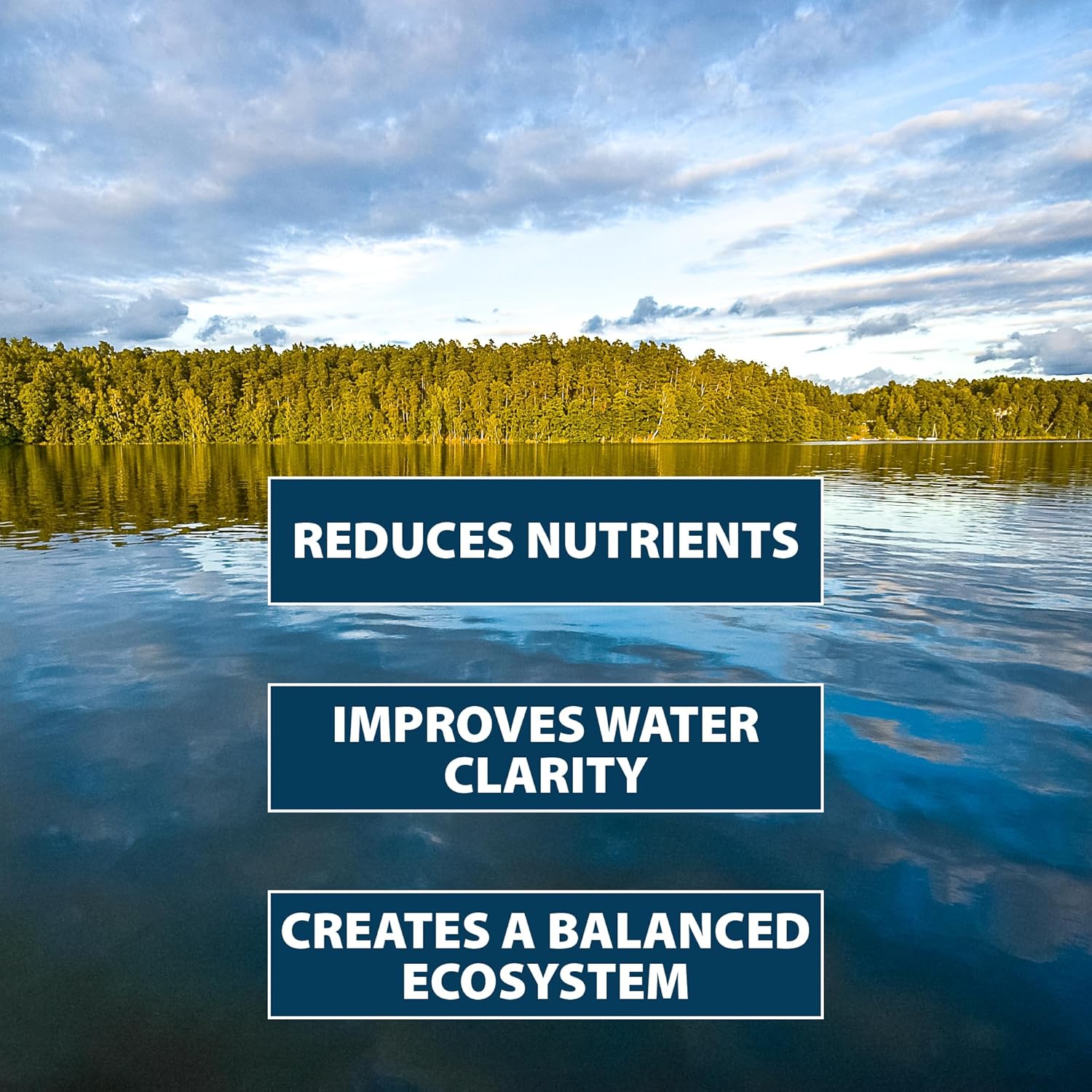 Airmax PondClear Packets, Beneficial Bacteria & Enzyme Clarifier Treatment with Ecoboost PRx, Clear & Clean Pond & Lake Water, Safe for Fish, 24 Count