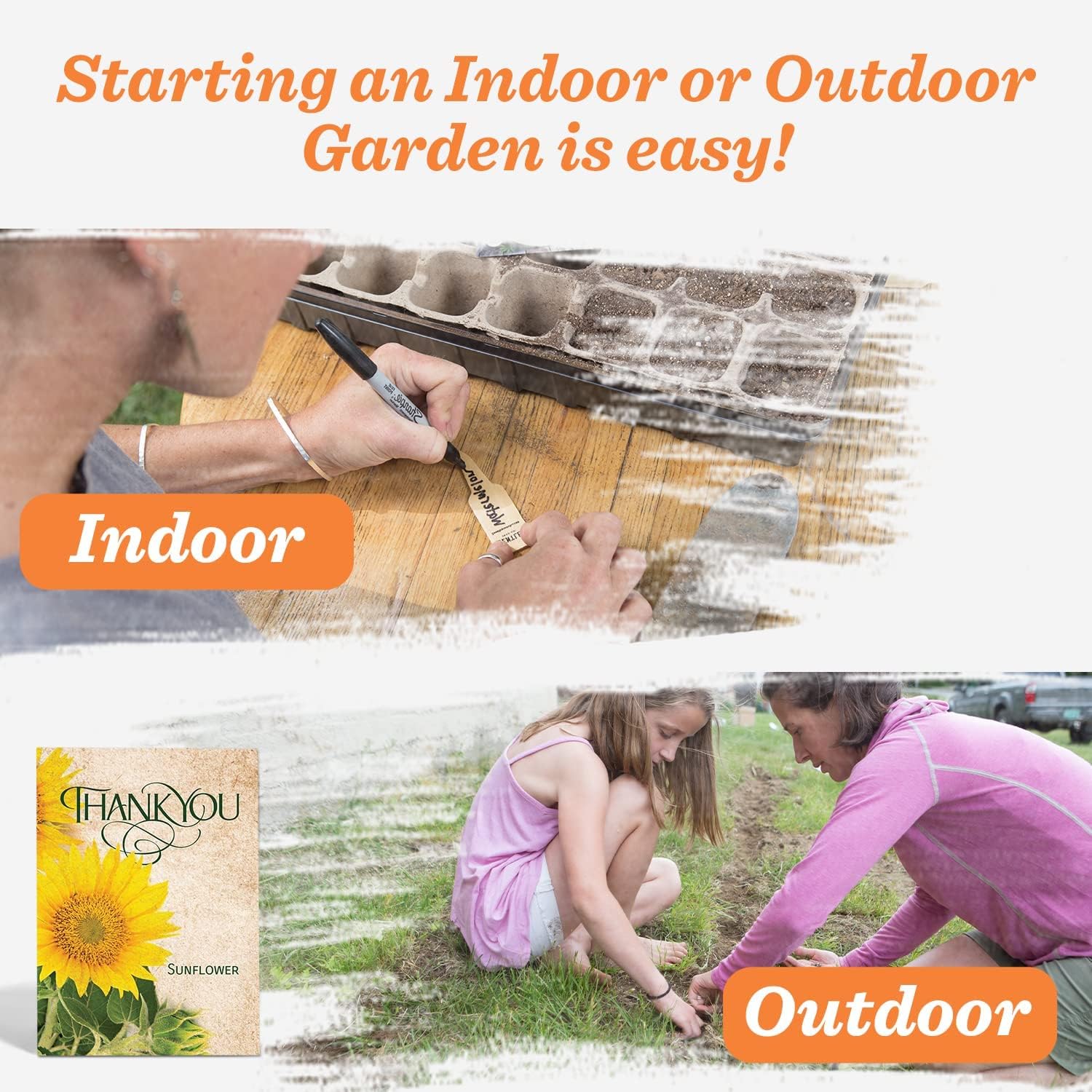 Bentley Thank You Packet - Sunflower Seeds - Pack of 25 - Perfect Eco-Friendly Thank You Gift - Non GMO