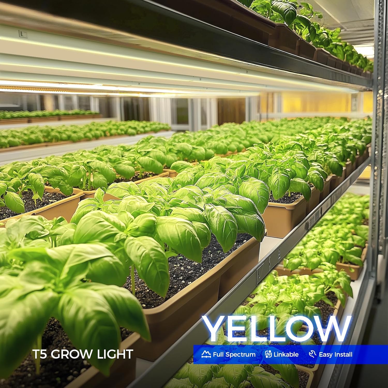 Barrina T5 Grow Lights for Indoor Plants, Full Spectrum, 4ft 160W (8 x 20W, 1000W Equivalent), Plant Growing Lamps, Plant Lights for Indoor Plants, Greenhouse, Plug and Play, Yellow 8-Pack