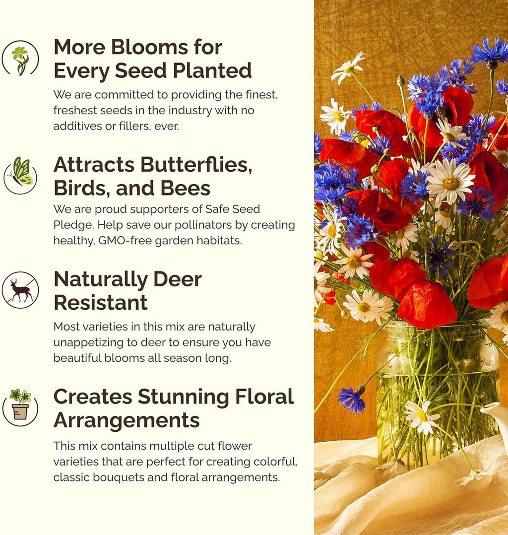 Eden Brothers Back to Basics Flower Mixed Seeds for Planting, 1 lb, 480,000+ Seeds with Cornflower Tall Blue, Corn Daisy | Attracts Pollinators, Plant in Spring or Fall, Zones 3, 4, 5, 6, 7, 8, 9, 10
