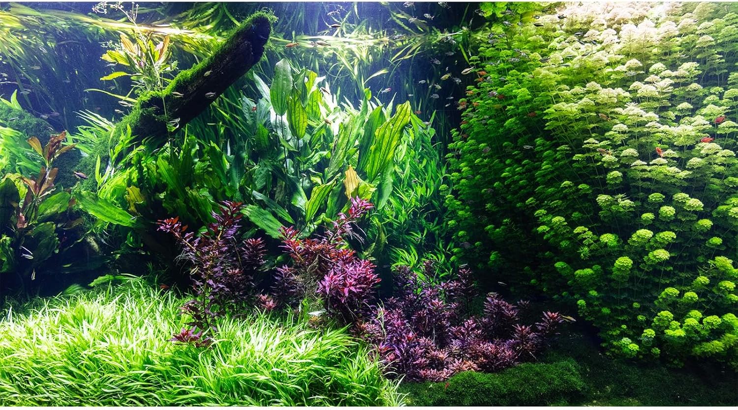 Aquarium Background Various Underwater Grass Plants Aquarium Backdrop Vivid and Fresh Green Aquatic Plants Stone River Bed and Dead Wood Tank Background Vinyl 30x18in