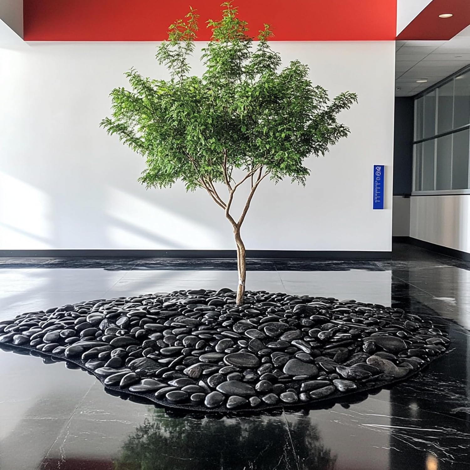 10 lbs Black River Rocks - Large Polished Black Pebbles for Plants & Garden Decorative Stones，2-3" Polished Pebbles for Landscaping, Fish Tanks, Flower Pots, Water Fountains