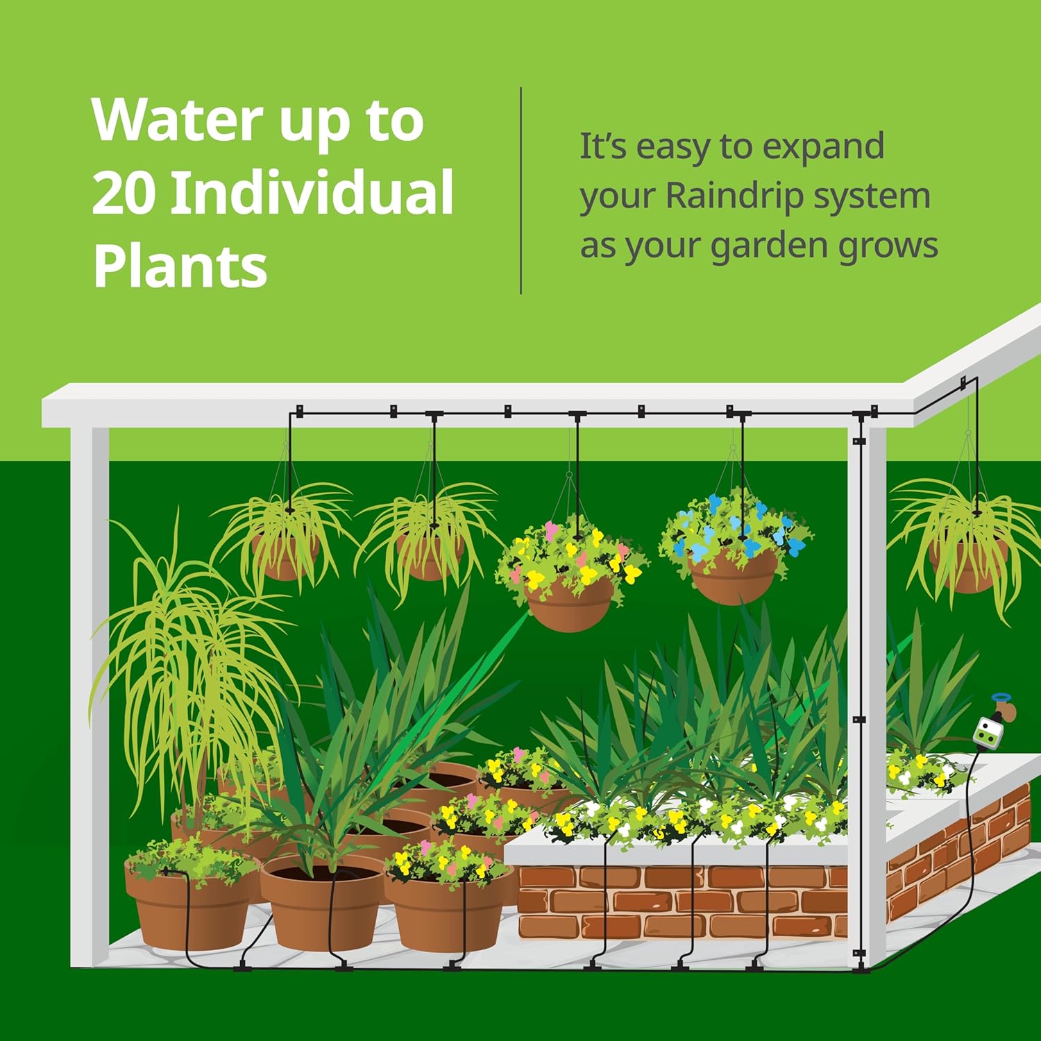 Raindrip R560DP Automatic Drip Irrigation Watering Kit with Customizable Timer for Containers and Hanging Baskets, Waters up to 20 Plants, Includes 20 PC Drippers, Black