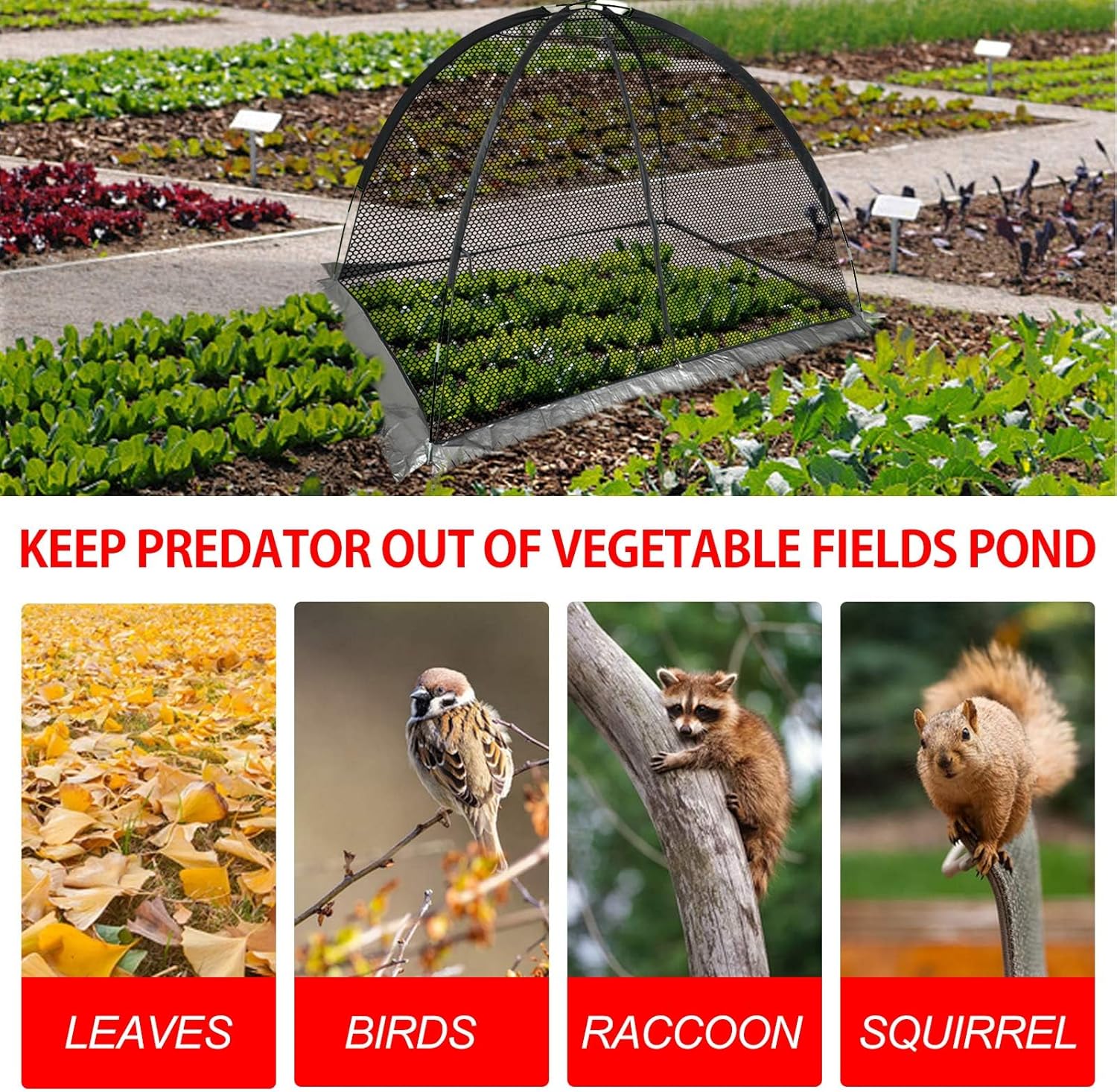 Pond Cover Dome: Protective Netting Tent for Outdoor Fish Koi Ponds Garden Leaves Vegetable Plant Care Use 5X7FT