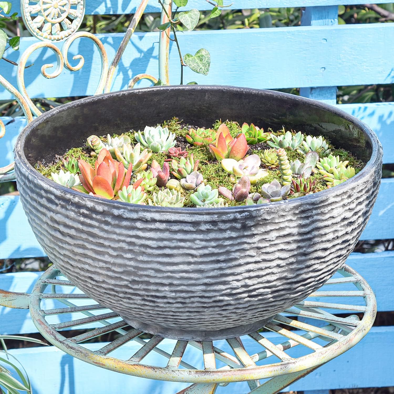 Sungmor Ash Black Resin Outdoor Low Bowl Planter Bird Bath 15.6 Inch Water Lily Succulent Pots Small Fountain Base