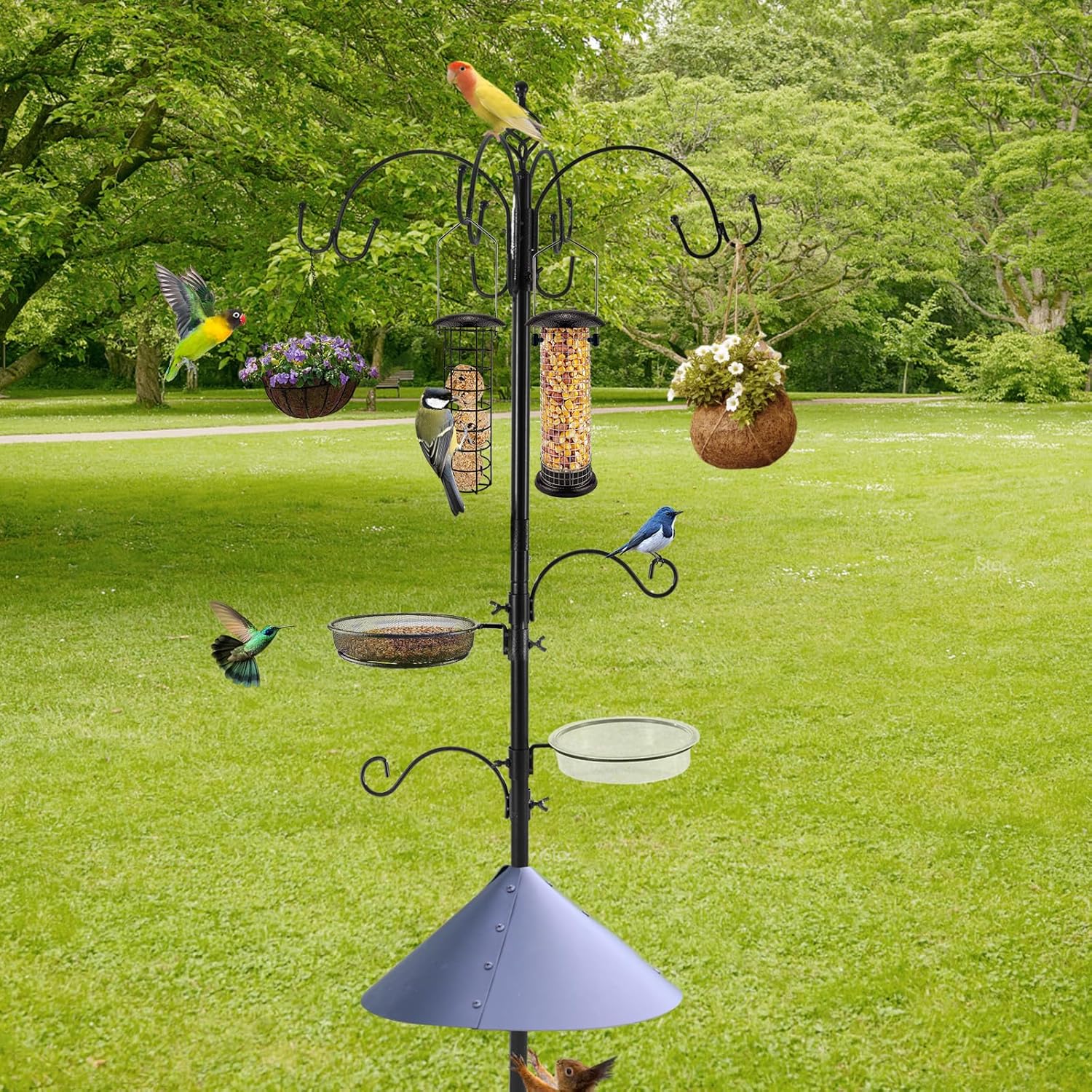 Deluxe Bird Feeding Station Kit Bird Feeder Pole with Squirrel Baffle, Suet Cage, Bath Tray for Planter Hanger - Wildlife-Friendly Design