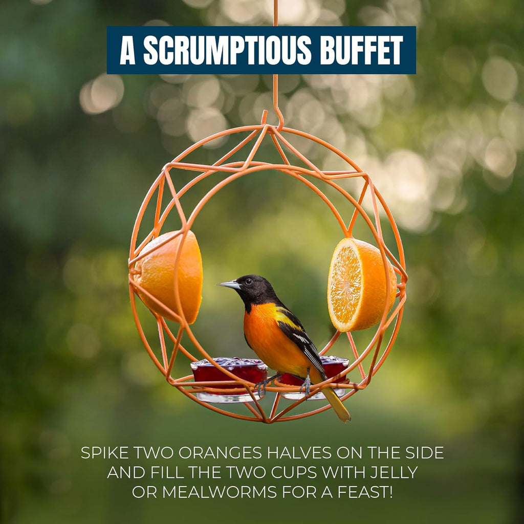 MEKKAPRO Sun Baltimore Oriole Feeder for Outdoors, Jelly and Orange Metal Bird Feeder, Unique Sun Design and Bright Color, Open Top Hook, UV-Resistant Powder-Coated Steel (2 Cups)