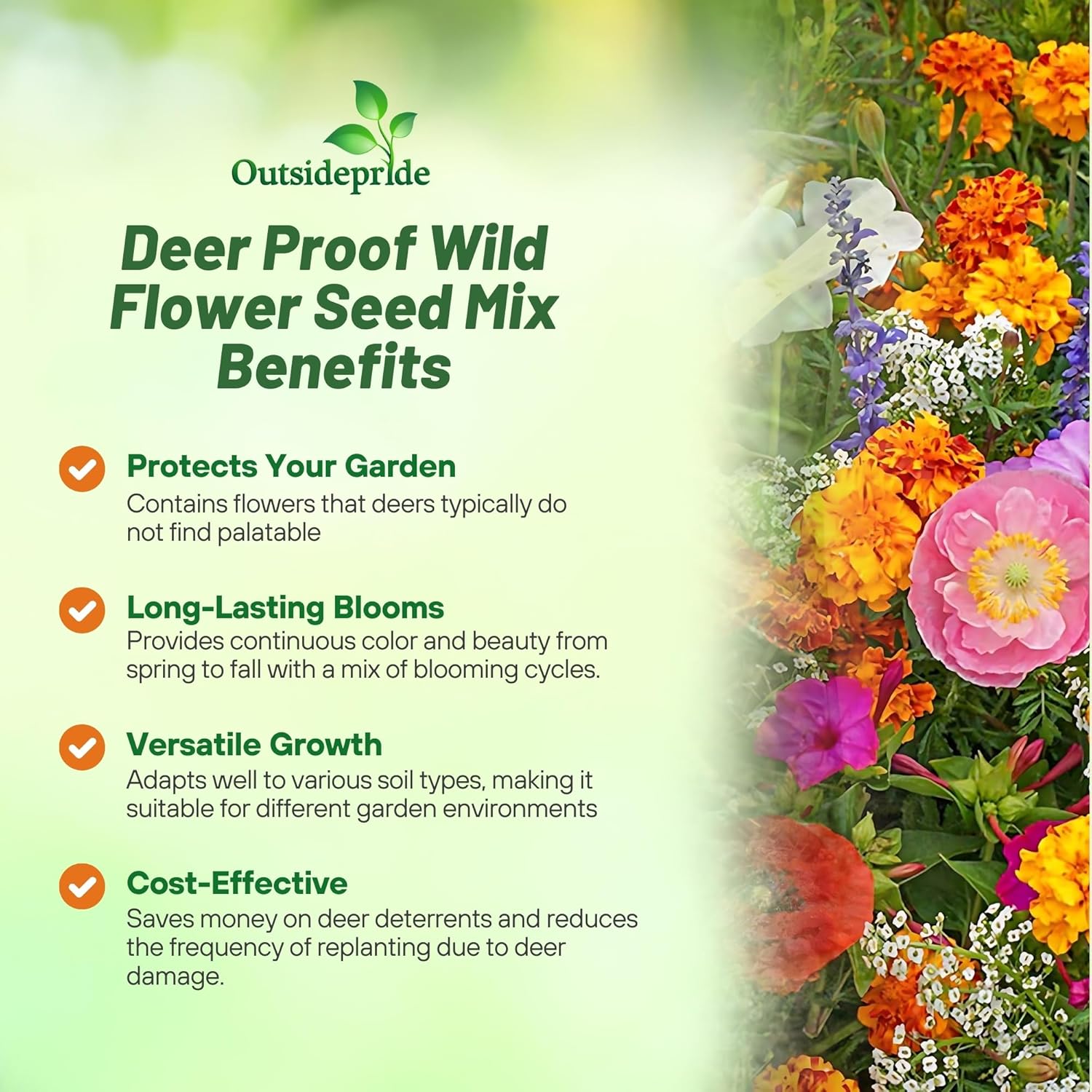 Outsidepride Deer Proof Wildflower Seed Mix - 5 lbs. Colorful Blend of Easy to Grow, Drought-Tolerant Annual & Perennial Wildflower Seeds for a Deer-Free,Vibrant Meadow & Pollinator-Friendly Garden