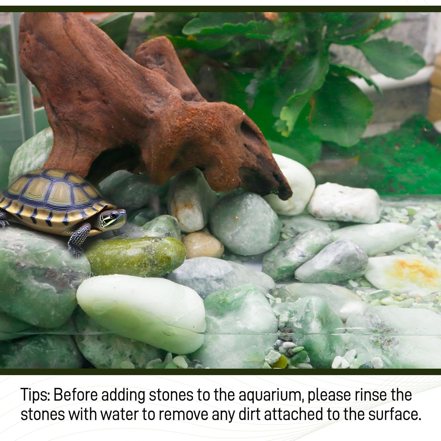 45lbs Jade Pebbles, 2-3 Inch Natural Pebbles for Indoor Plants, Polished Pebbles for Garden Landscaping Aquariums Vase Fillers and Outdoor Decorative Stones