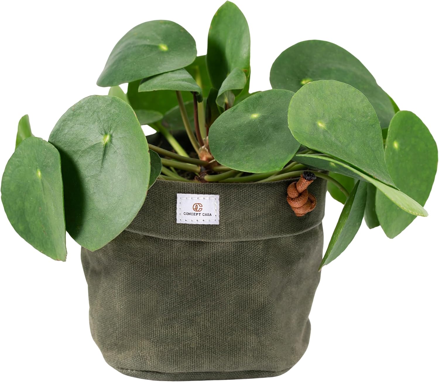 Waxed Canvas Handmade Hanging Planter for Indoor/Outdoor Plants, Hanging Basket Plant Holder Forest Green with Hook