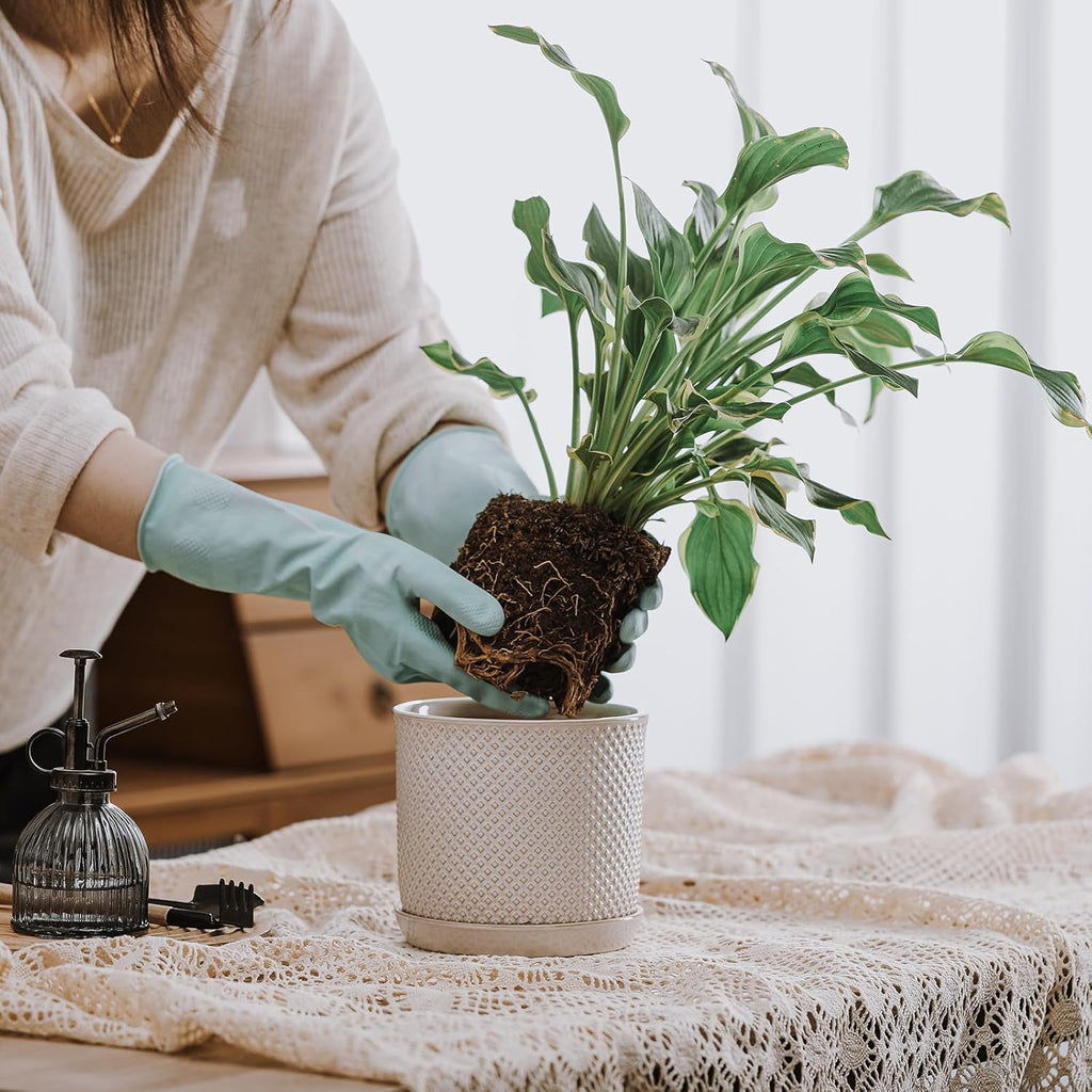 5.8 Inch Plant Pot: Ceramic Planter with Drainage Hole & Saucer for Indoor Outdoor Plants - Flowerpot with Bonded Tray for Home Office - Beaded Embossed Style, Cream White