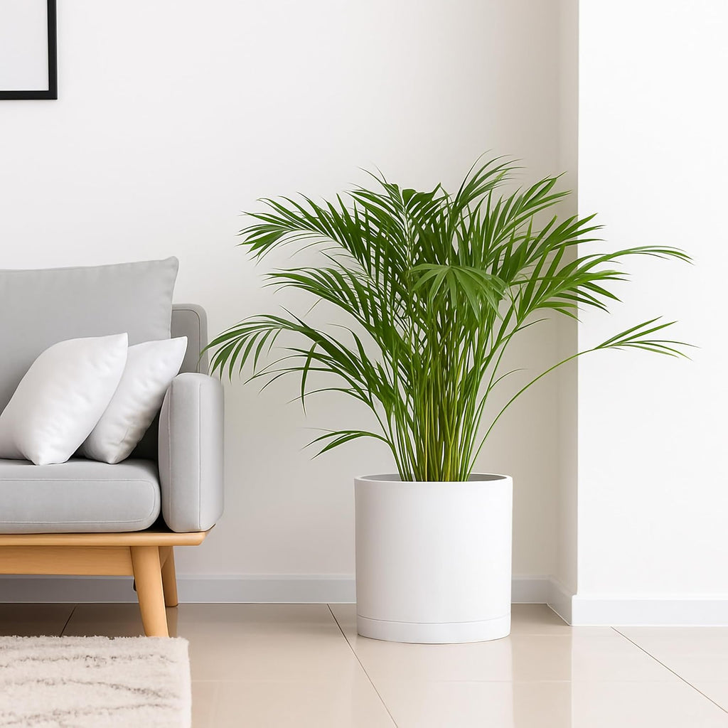 D'vine Dev 16 Inch White Plastic Planter Pots for Plant Pot with Drainage Hole and Seamless Saucers, 74-X-A-5