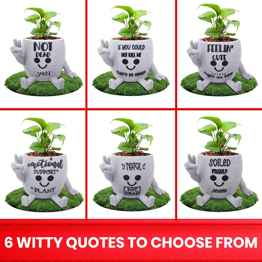 Funny Face Indoor Head Planter Pot, 3D Printed, Unique Small Succulent Flower Pot, Cute Cactus Planter, Indoor Home Decor, Office Desk Plant Pot, Novelty Gardening Gift Set