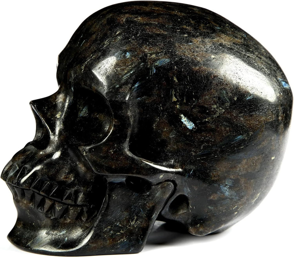 Skullis 5.0" Russian Arfvedsonite Hand Carved Crystal Skull, Super Realistic, Crystal Healing, Hand Carved Gemstone Fine Art Sculpture, Reiki Healing Stone Statue. z8