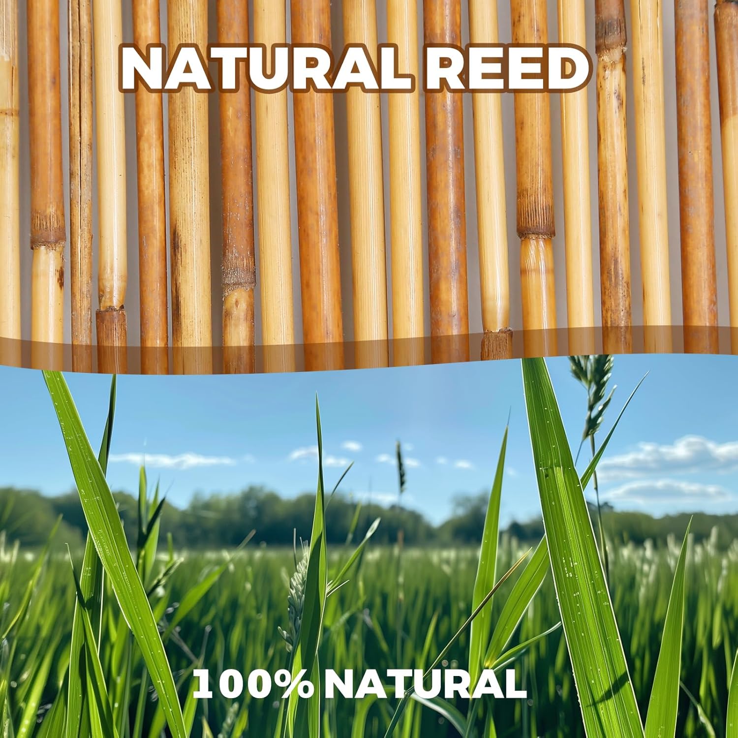 Natural Reed Fencing, Eco-Friendly Reed Fence, 4 feet High x 16.44 feet Long, Reed Screen for Backyard Patio Garden and More,Brown