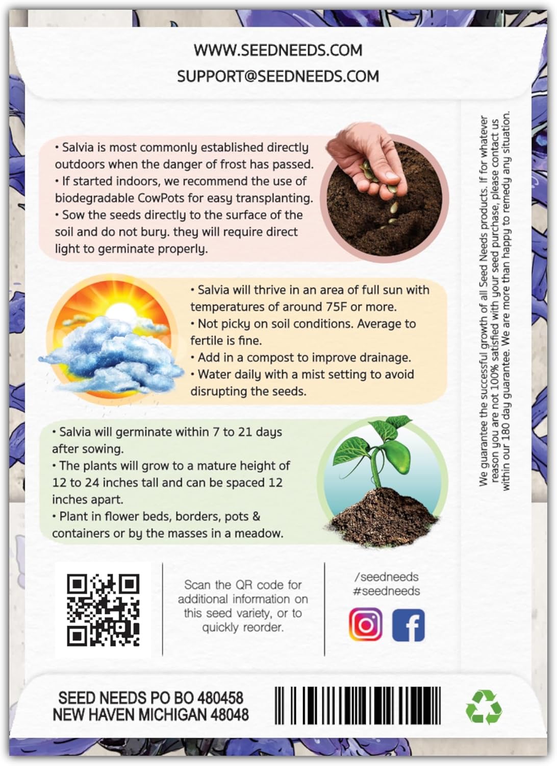 Seed Needs Sapphire Blue Sage Seeds for Planting - Heirloom & Open Pollinated Salvia - Grow a Butterfly Garden with Perennial Flowering Plants (5 Packs)