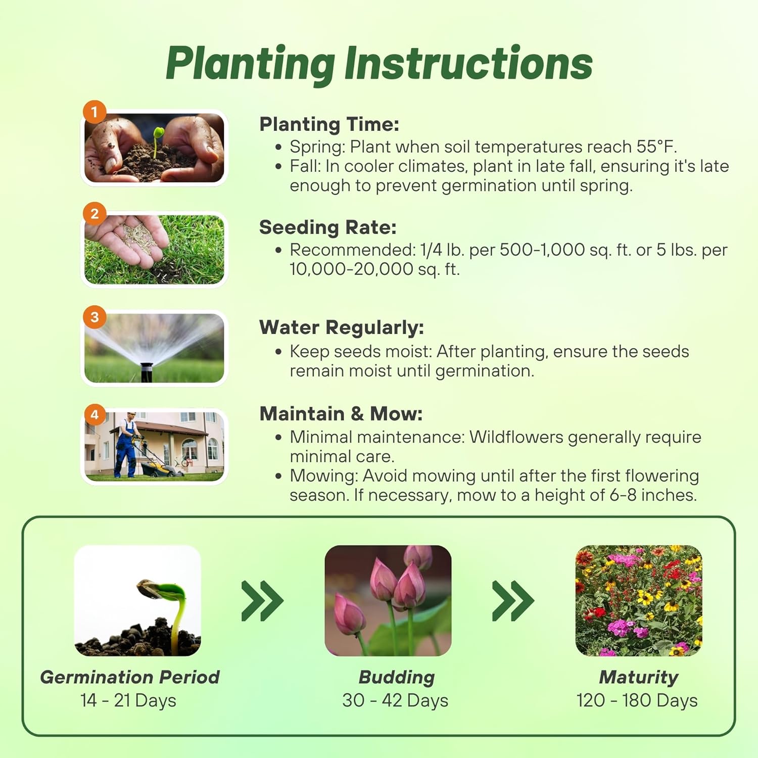 Outsidepride Southeast Wildflower Seed Mix - 5 lbs Highly Adaptable, Easy to Grow, Low-Maintenance Mix of Annual & Perennial Wildflower Seeds for Natural Landscapes in Southeastern States