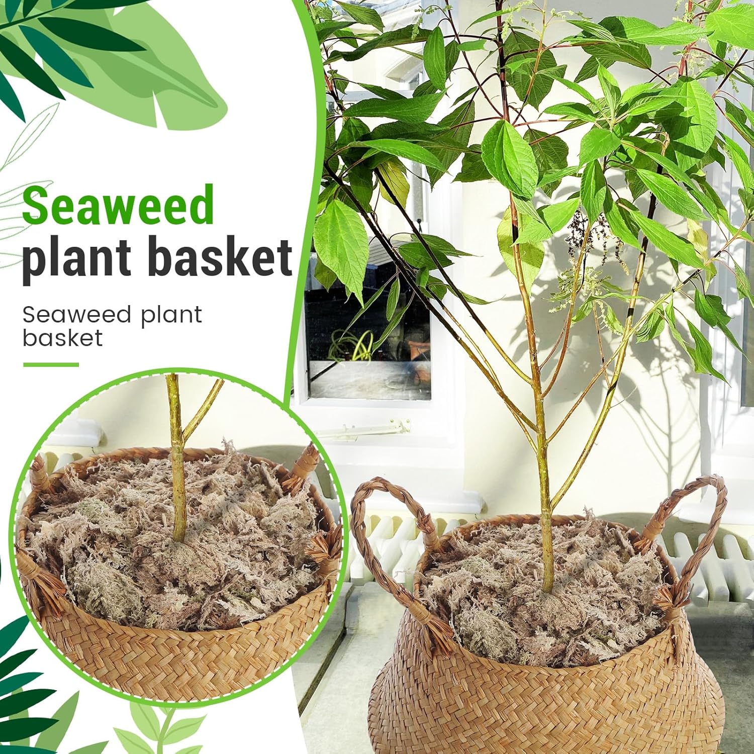3 Pack Large Wicker Plant Basket with Handle 10 Inch Woven Seagrass Belly Basket and Artificial Moss for Plants Picnic Grocery Laundry House Storage Home Decor (Small,Medium,Large)