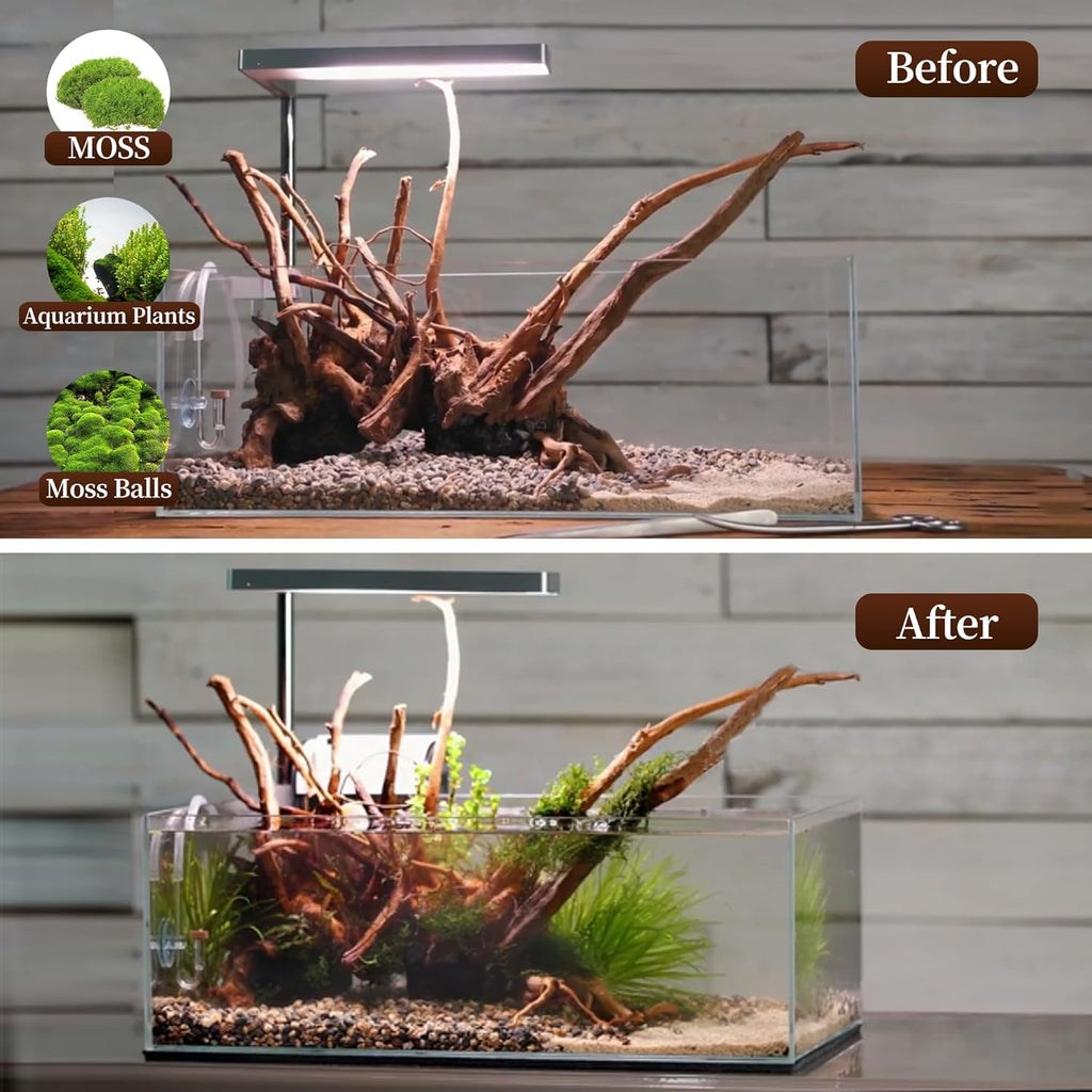 majoywoo Natural Large Driftwood for Aquarium Decor Reptile Decor, Assorted Spider Wood Branch 11-14" 2 Pcs, Fish Tank Decoration