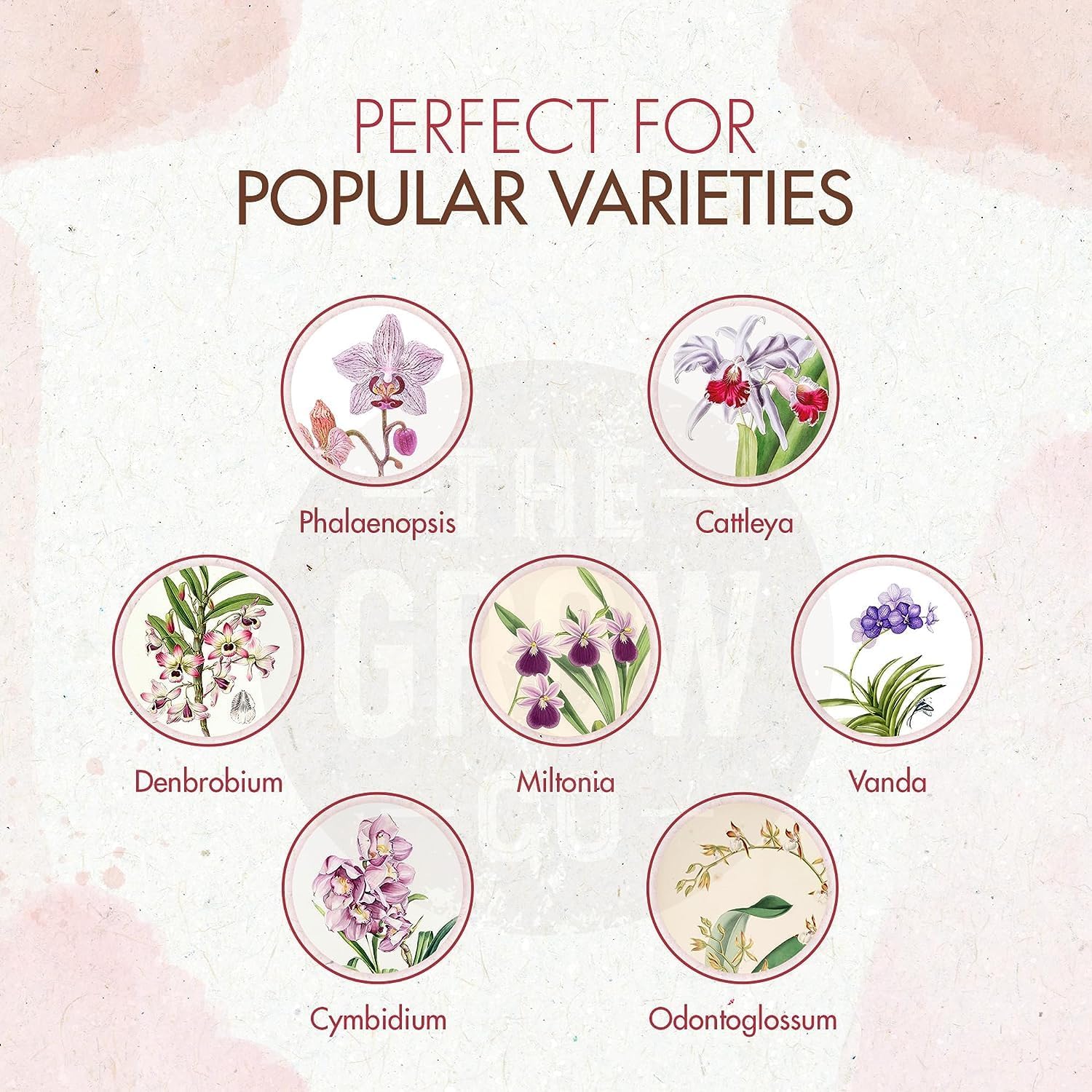 Orchid Plant Food (5 oz, 50+ Applications) - Bloom Booster Fertilizer Pellets for Orchids in Pots - Slow Release Nutrients for Healthy Flower & Reblooms