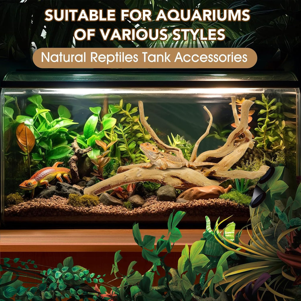 Natural Large Spiderwood Driftwood for Aquarium Decor Rptile Fish Tank Decoration Assort Branch 7-11'' 3 Pcs