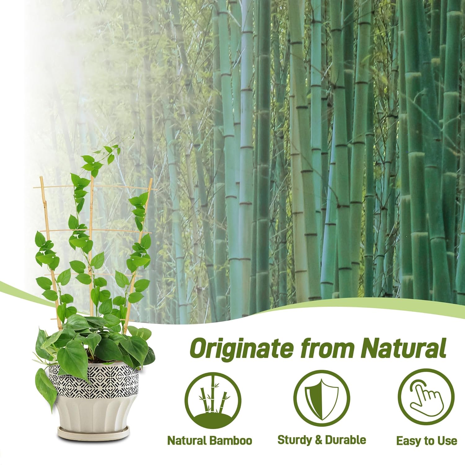 Avalution 10 Pack Bamboo Trellis for Climbing Plants, 2 FT Garden Ladder Trellis for Potted Plants Indoor, Fan-Shaped Small Plant Support Trellis for Houseplants Ivy Hoya Vine Monstera