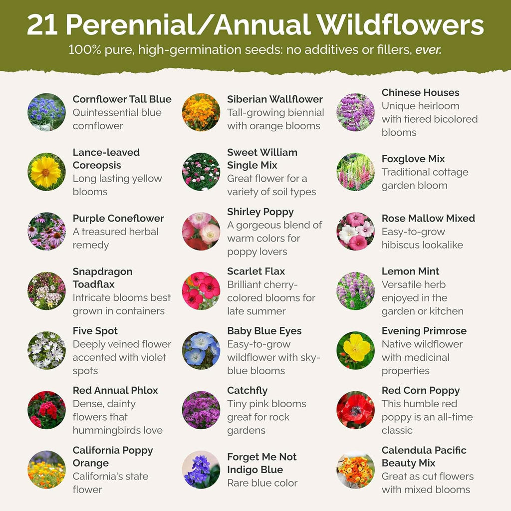 Eden Brothers Partial Shade Wildflower Mixed Seeds for Planting, 5 lb, 2,400,000+ Seeds with Sweet William, Foxglove | Attracts Pollinators, Plant in Spring or Fall, Zones 3, 4, 5, 6, 7, 8, 9, 10