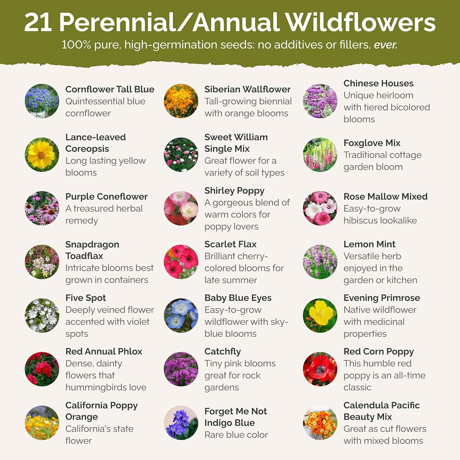 Eden Brothers Partial Shade Wildflower Mixed Seeds for Planting, 1 lb, 480,000+ Seeds with Sweet William, Foxglove | Attracts Pollinators, Plant in Spring or Fall, Zones 3, 4, 5, 6, 7, 8, 9, 10