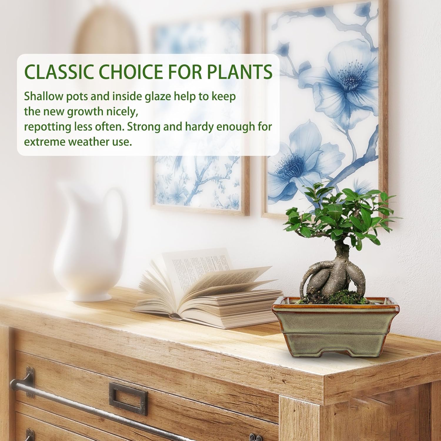 Ceramic Bonsai Pots with Drainage Hole, Set of 2 Rectangular Glazed Bonsai Planters for Indoor/Outdoor Use, Shallow Brown Bonzai Tree Pots for Succulent, Orchids, Cacti, Home, Patio, Garden, 6.3"x4.9"