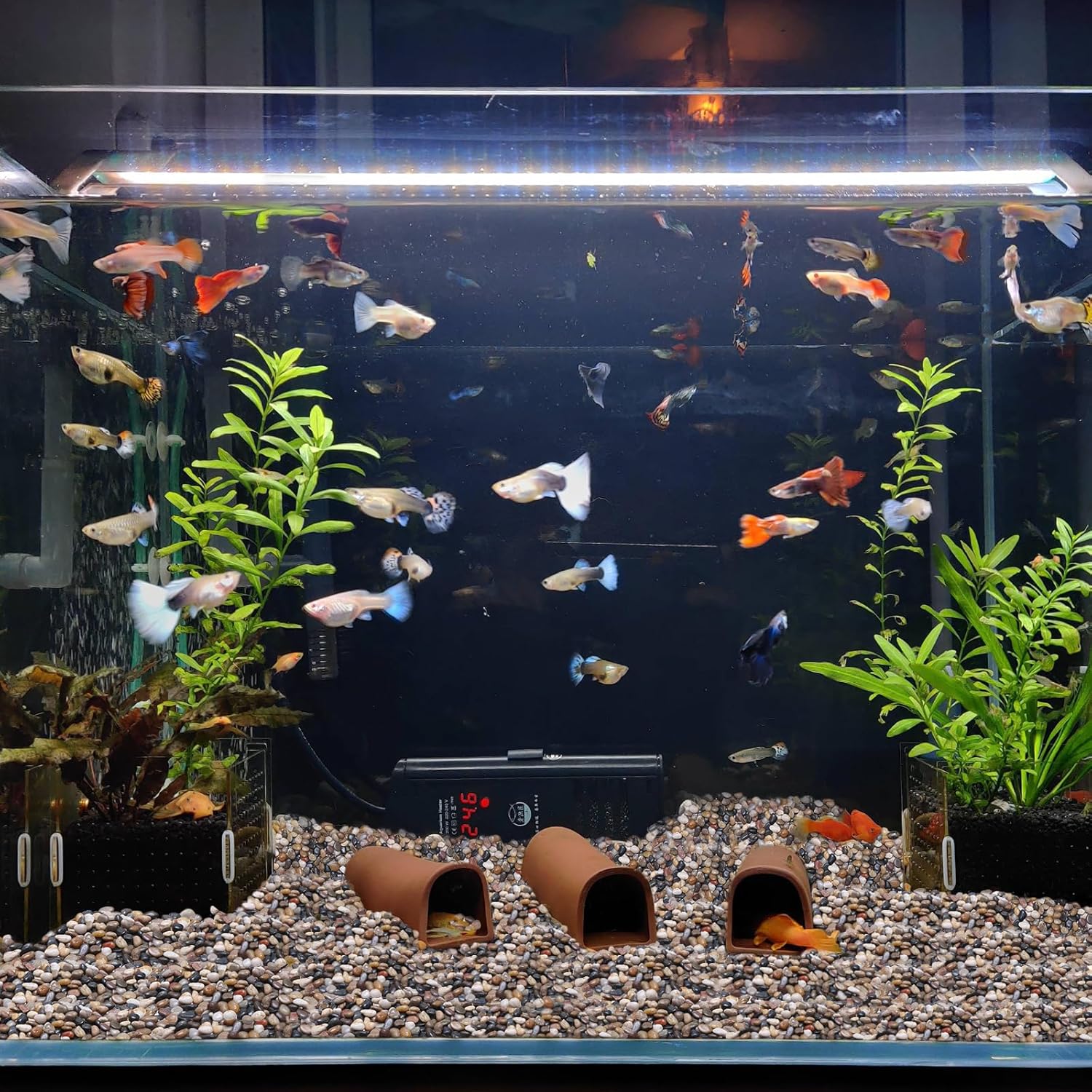 Calofulston 15lb Pebbles, 3/8 Inch Small Pebbles for Indoor Plants, Aquariums, Bamboo, Succulent, Vase, Outdoor Landscaping, Decorative Polished Plant Rocks for Pots Indoor, Mixed Color