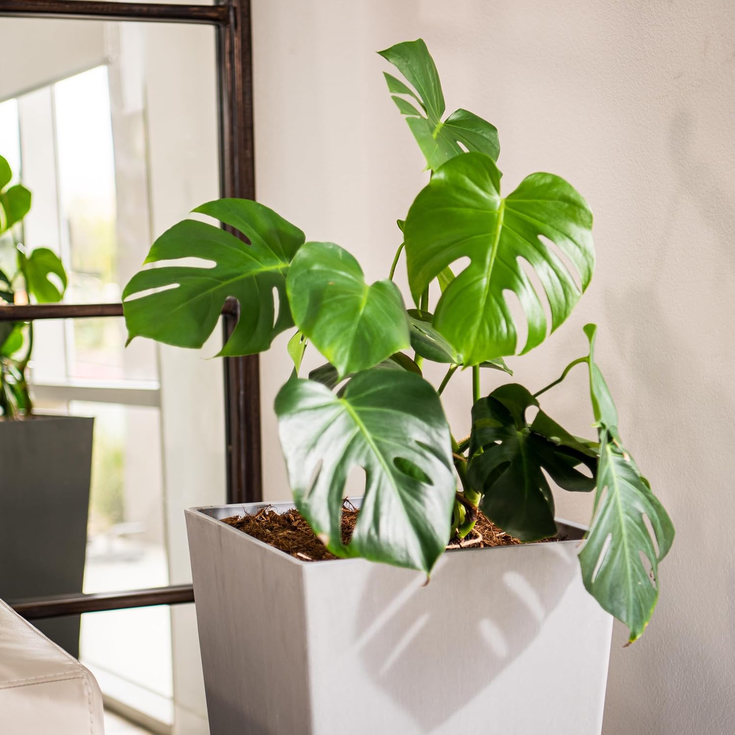 XBrand Modern 30-Inch Tall Square Planter, Tapered, Perfect for Indoor & Outdoor, Patio Decor, Set of 2, Gray