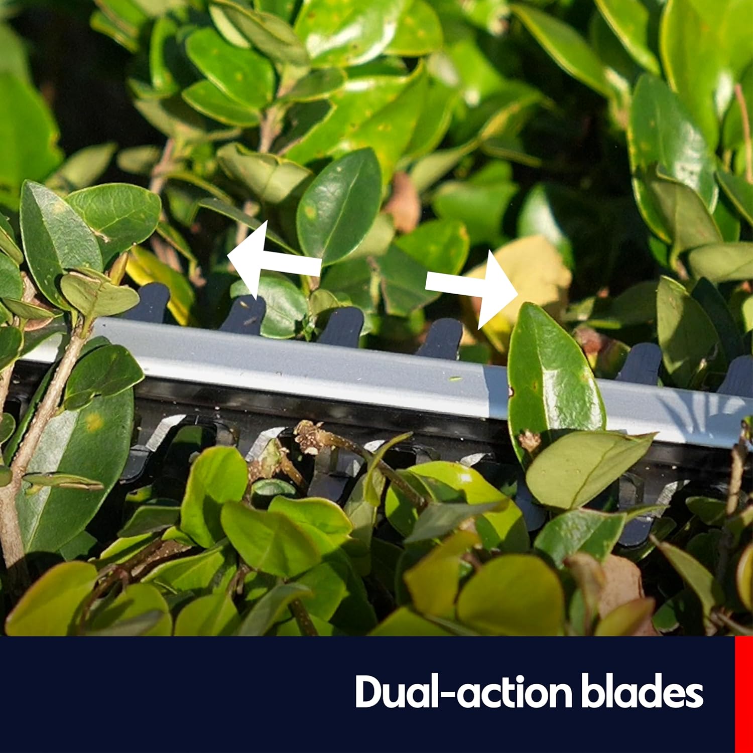 QWD 20v Cordless Hedge Trimmer Powered by Battery(Battery & Charger Included) with 20-Inch Blade & 40-Min Runtime,2200 cuts/Min,Lightweight Aluminum Body for Home Garden