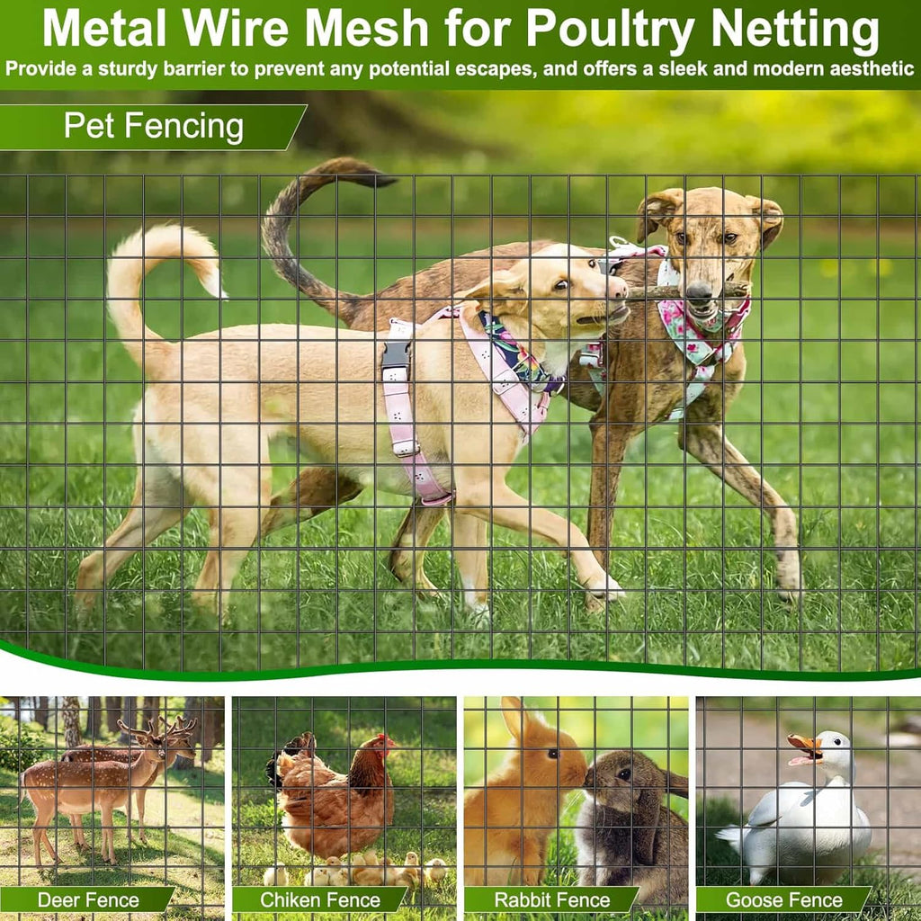 Black Welded Wire Fence 36 Inch x 59 Foot, 2.4" x 2.4" 14GA PVC Coated Wire Fencing for Garden Bed, Vinyl Coated Metal Wire Mesh Roll for Yard Vegetable Plant Protection Chicken Dog Poultry Netting