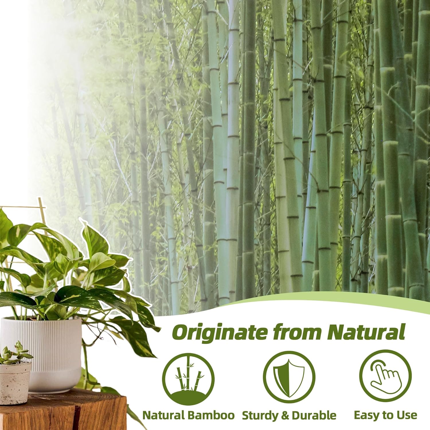 Avalution 5 Pack Bamboo Trellis for Climbing Plants Indoor, 16 Inch Garden Ladder Trellis for Potted Plants, Fan-Shaped Small Plant Support Trellis for Houseplants Ivy Hoya Vine Monstera