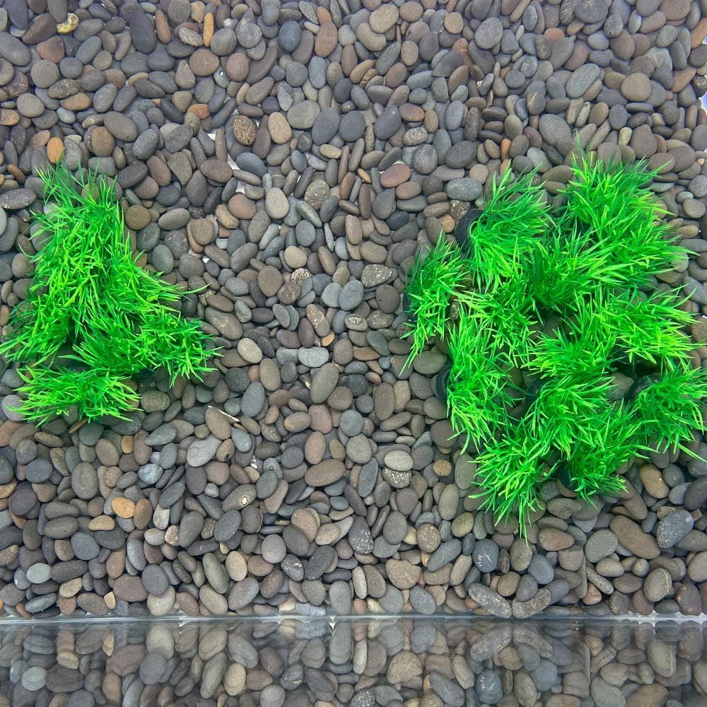 Smoothedo-Pets Aquarium Plant Fish Tank Decoration 20 Pieces Small/1" Tall Plastic Artificial Plant Goldfish Hidden Mini Grass Set (Green-C)
