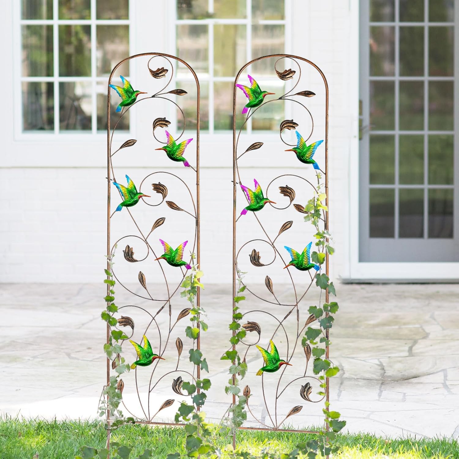 LEWIS&WAYNE 2 Pack Metal Garden Trellis with Colorful Hummingbird 60 Inch High Outdoor Decoration Arched Fence Trellis for Climbing Plants for Patio, Lawn, Yard, Backyard, Wall Brackets
