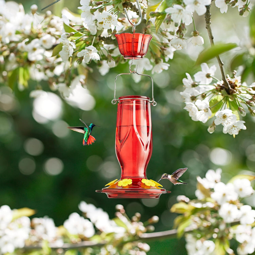 Kingsyard Glass Hummingbird Feeders for Outdoors Hanging, 6 Feeding Ports 16 Ounces Leakproof Bird Nectar Feeder for Garden Porch Fall Decorations, Easy to Refill & Clean, Ant Moat Included, Red