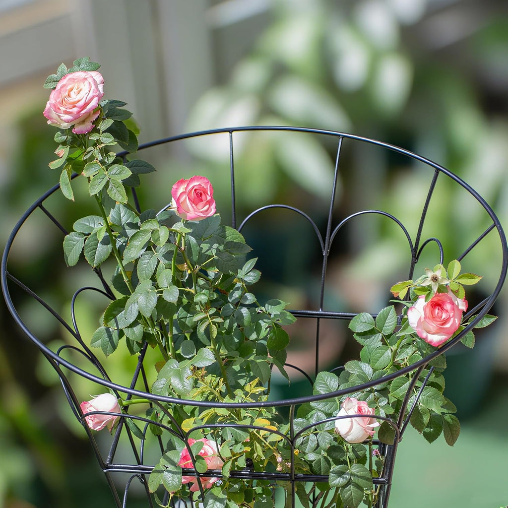 COOOXIM Peony Cages & Supports - Metal Plant Obelisk Trellis for Outdoor Use, 27.5 x 22 Inches, Perfect for Peonies, Roses, and Climbing Vines - Durable Garden Support Ring in M Shape