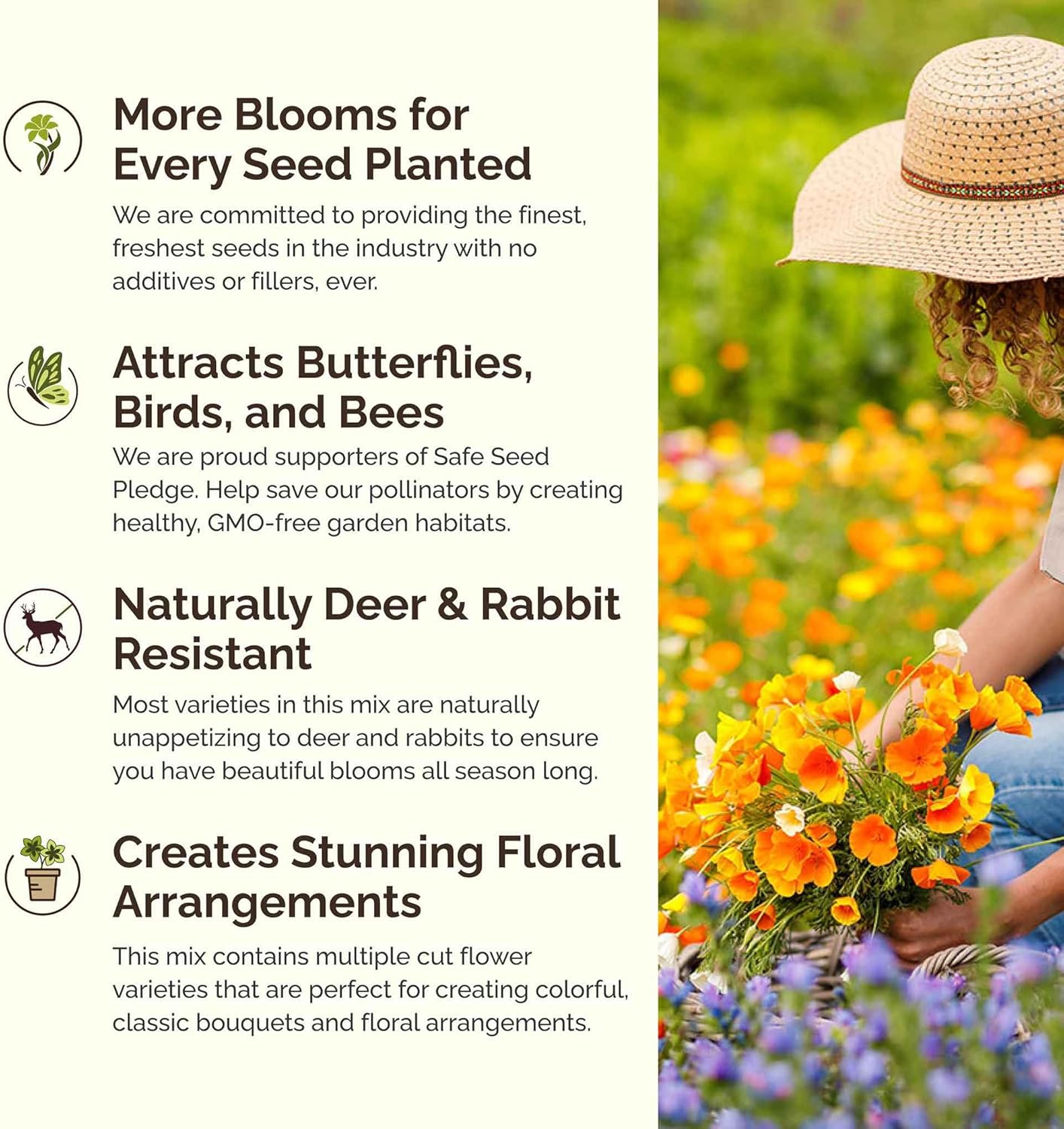 Eden Brothers Poppy Power Flower Mixed Seeds for Planting, 5 lb, 2,400,000+ Seeds with Red Corn, Iceland, California Poppy, Attracts Pollinators, Plant in Spring or Fall, Zones 3, 4, 5, 6, 7, 8, 9, 10