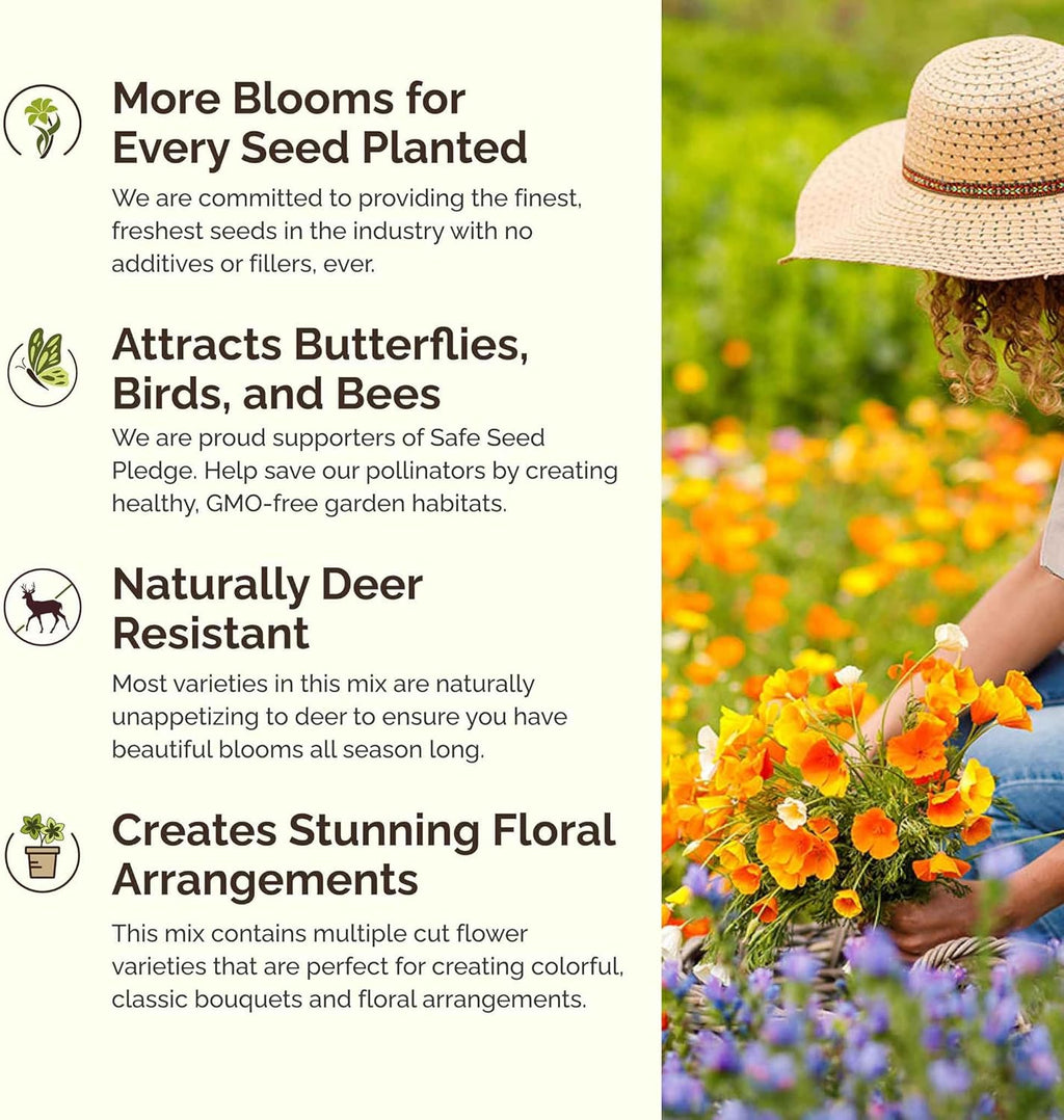 Eden Brothers Dry Area Wildflower Mixed Seeds for Planting, 10 lb, 4,800,000+ Seeds with Cosmos, African Daisy, Blue Flax | Attracts Pollinators, Plant in Spring or Fall, Zones 3, 4, 5, 6, 7, 8, 9, 10