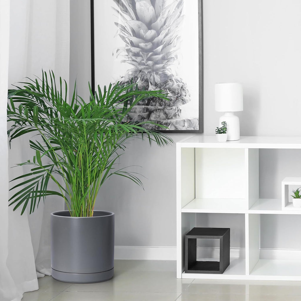 D'vine Dev 6 Inch & 8 Inch & 10 Inch, Set of 3 Round Ceramic Planter Pot with Drainage Hole and Saucer, Grey, 94-T-L-3